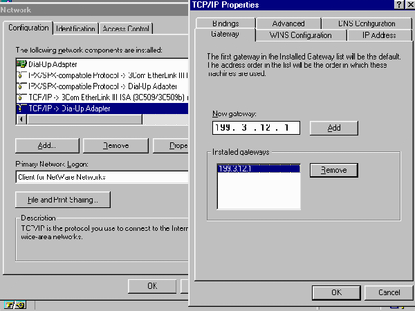 PANEL showing TCP/IP config. details